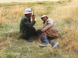 Waiting for the Gobi Bear (Maazalai) Waiting for the Gobi Bear (Maazalai)