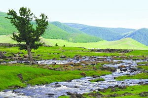 Orkhon Tal